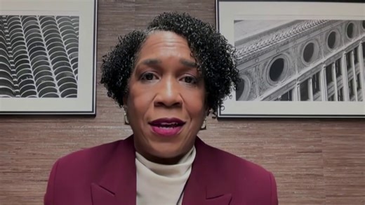 ‘We need real fighters’: Illinois Lt. Gov. Stratton on her Senate campaign