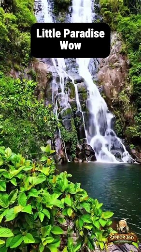 Hidden Paradise Falls POV #shorts