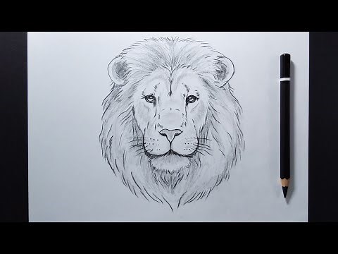 How To Draw a Lion's Face Step By Step | Easy Drawing Tutorial