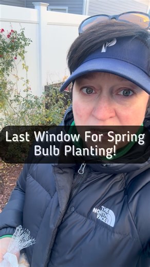 I always leave it until the last minute, but as long as your soil is workable, you can still plant your spring blooming bulbs like daffodils, tulips, Hyacinth, etc. I usually leave at this late because there are such great markdowns on the price of bulbs in November. I can’t always respond to comments so for those of you that are experienced gardeners, please jump in and help as much as you can. I am a Garden Coach located in the northwest suburbs of Chicago. I do on-site sessions right in your 