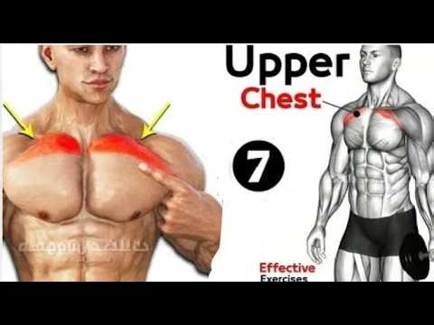 Best Upper Chest Routine - 7 Best Chest Exercises