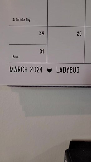 Spend March gazing at Ladybug! 🐞😻 And pick up a Catfe calendar to last you the rest of the year... now on sale for only $5! 🙀 Order yours right meow at https://www.catfe.shop/product/calendar-2024/117 | Catfé