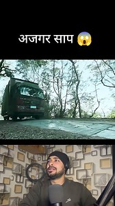 160K views · 2.4K reactions | python snake  #shorts #viralreels #viralvideo #fbreels | Raku Movie Explain 3.0 | Facebook