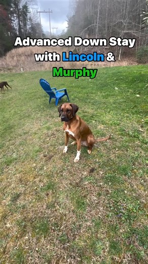 2.8K views · 40 reactions | Part of impulse control is being able to...