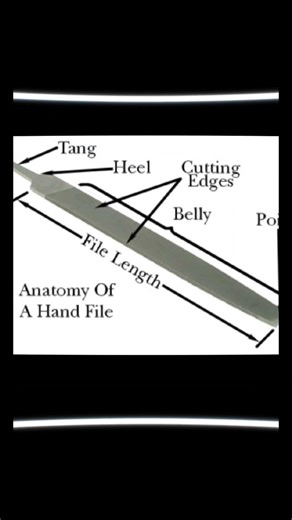 File Ke Parts Name 🔧 | Hand File Diagram Explained | ITI Fitter Tool #shorts #motivation