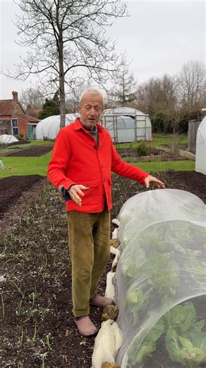 Charles Dowding on Instagram: "A vegetable garden is full of possibilities 🌱 Beds change through the year — one crop finishes and another begins. With thoughtful planning, you can harvest generously from a small space. My Garden Planner will help you sort out 2026, and all those choices ahead. See the link in my bio 👆🏻 https://charlesdowding.co.uk/products/charles-dowdings-garden-planner-app?variant=51804783345987 #gardenplanner #2026 #nodig #growyourownfood #newyearresolutions"