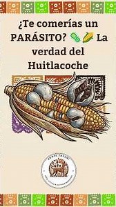 Huitlacoche… Would You Eat a PARASITE? 🦠🌽