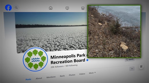 Decades old trees cut down illegally, the Minneapolis Park and Recreation Board says