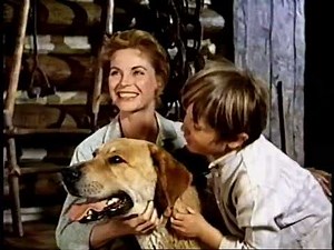 Opening to Fun and Fancy Free 1997 VHS (Version #2)