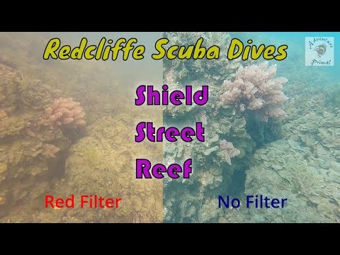 Redcliffe Scuba Dives - Shield Street Reef