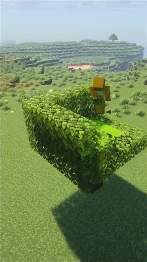 Base de supervivencia en un árbol 🌳
