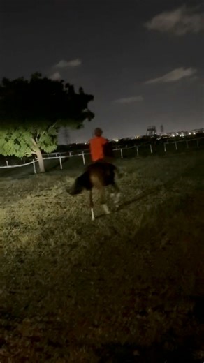 horse riding | Gyakie