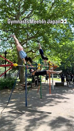 When Gymnastics Families Meet At The Park 👀