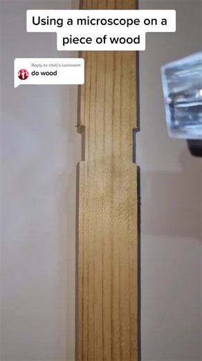 Reply to @ritelj What should i do next? 🤔#fyp #foryou #foryoupage #fypシ #zoom #macro #microscopezoom #microscope #wood #viral