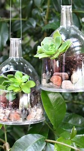 Mini hanging terrariums! #terrariumdesign #terrarium #upcycle #gardendesign #hangingplants #summercrafts | Mark Montano