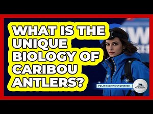 What Is The Unique Biology Of Caribou Antlers? - Polar Regions Uncovered