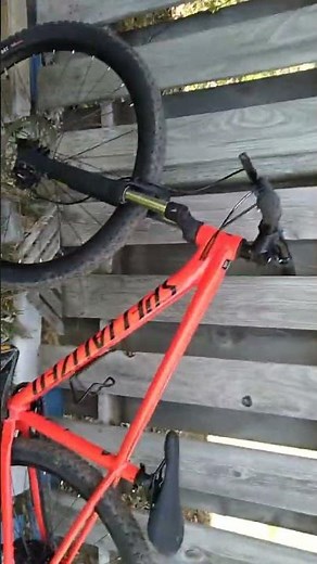 specialized Rockhopper comp 29 2024 #mtb#hardtail#bike#specialized