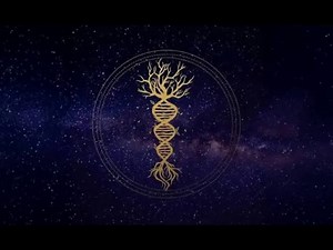 牙齿再生 Ver 2.0 - Sapien Medicine