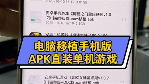电脑移植手机版APK直装单机游戏