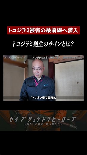 Bed bugs breed in your home... Close-up on professional extermination