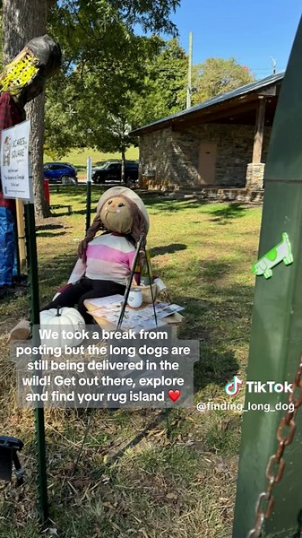 We took a break from posting but the long dogs are still being delivered in the wild! Get out there, explore and find your rug island ❤️ Pictured are Long dogs hidden at the Carolina Renaissance Festival, Cleveland, Georgia; Egg Harbor in Door County, Wisconsin; downtown Dahlonega, Georgia; and a park in Frankinville, North Carolina. #findinglongdog #scavengerhunt #blueytok #rugisland