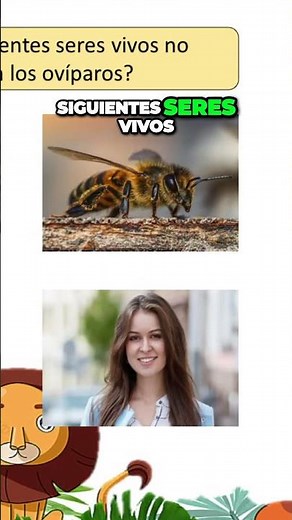 Descubre el secreto de los animales vivíparos y ovíparos