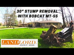 Stump Removal with Bobcat Mt55 mini track loader with stump bucket, load in dumper dogg bed insert