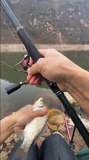 Easiest catch of the with easiest fish hunting trick?!