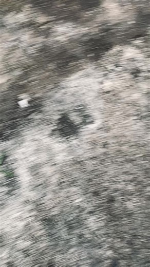 Exploring AG Style in Ninja Culture