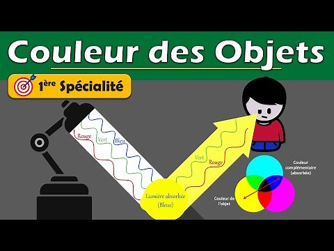 🌈 Comprendre la COULEUR des OBJETS | 1ère spécialité - Physique chimie | Lycée