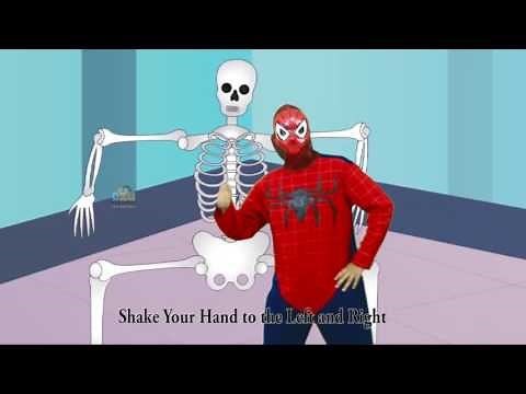 The Foot Bone Connected To the Leg Bone || Action Nursery Rhyme For Kids
