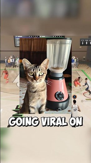 Infamous Cat Blender Video Explained