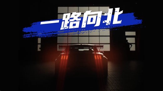 征战纽北，“马”上来