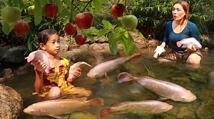 2.1K views · 14 reactions | Amazing catching many red fish in waterfall- Mother roasted fish for lunch with daughter in jungle | CHEF GIRL | Facebook
