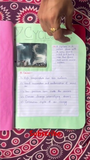 Best disaster MANAGMENT project