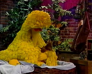 Sesame Street: Sesame Street Home Video Visits The Hospital (1990 VHS) (Higher Quality)