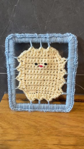 Unique Crochet Ideas and Patterns for Beginners