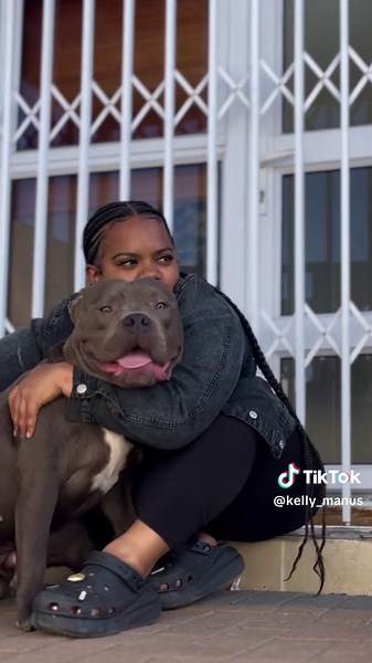 Talking to My Dog Comedy Compilation