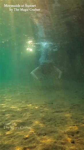 sunset mermaids ☀️ This video shows different clips of me as various mermaid characters swimming during the sunset. #themagiccrafter #mermaid #michiganmermaid #mermaidphantom #professionalmermaid #sunset #sirencore