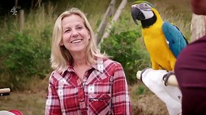 Embarrassing Pets Season 1 Episode 6