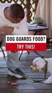 Food guarding isn’t about dominance. It’s about fear. Calm confidence is the real muscle. Full stories and real breakthroughs on my YouTube channel @CesarMillanOfficial #BetterHumanBetterDog La protección de la comida no tiene que ver con dominio. Tiene que ver con miedo. La calma y la confianza son la verdadera fuerza. Ve las historias completas y las verdaderas transformaciones en mi canal de YouTube @CesarMillanOfficial #BetterHumanBetterDog | Cesar Millan
