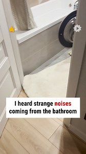 Everyone makes do with what they have 🤣 | WTVideo