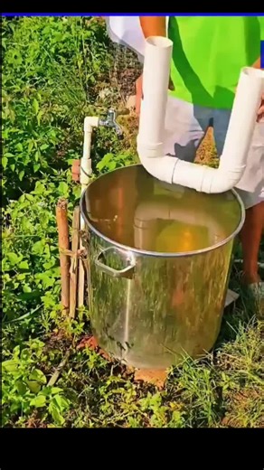 Felix M. D# (@mstfelix)’s videos with original sound - Felix M. D#