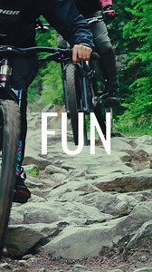 Whether you're shredding trails or cruising streets, our bikes are tougher than a titanium T-rex and more fun than a barrel of monkeys on unicycles. | Marin Bikes