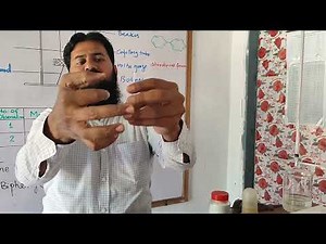 Determine the melting point of Bipehynl | Experiment #5.2