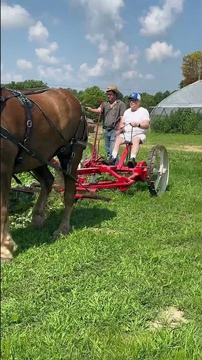 Teaching Dan from Wisconsin to Mow with Belgian Draft Horses