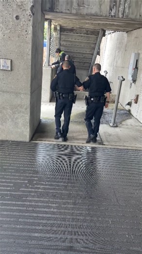 3 Officers for 1 Loiterer: Excessive or Proper Response? Safety Officer Breakdown