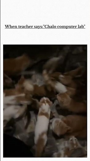 💀 #meme #computer #funny