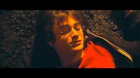 Harry Potter and the Goblet of Fire - Death Eater attack and Morsmordre (HD)