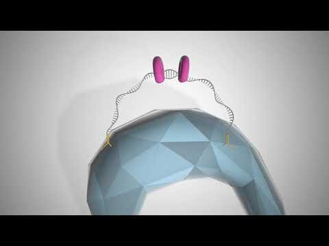 Why Specificity Matters in Proteomics